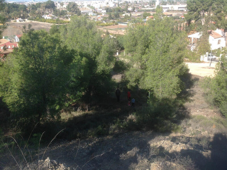 Jord til salg i Murcia, Murcia