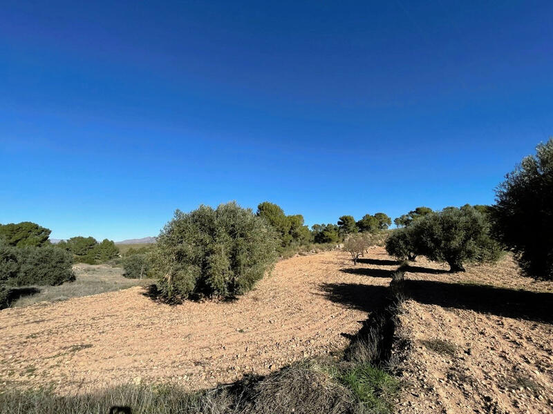 Landa till salu i Torrevieja, Alicante