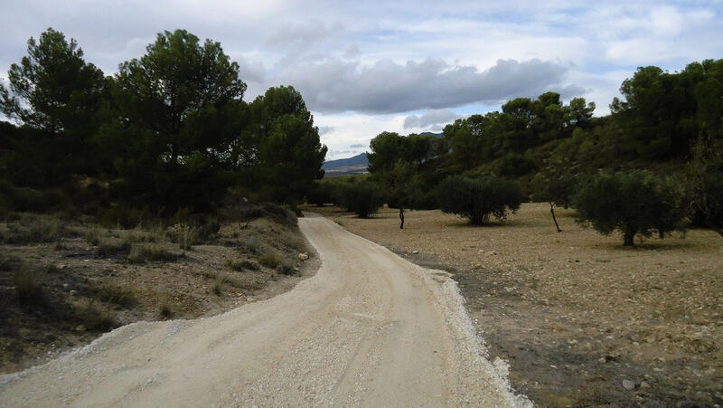 Terrain à vendre