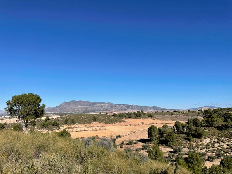 Terrain à vendre