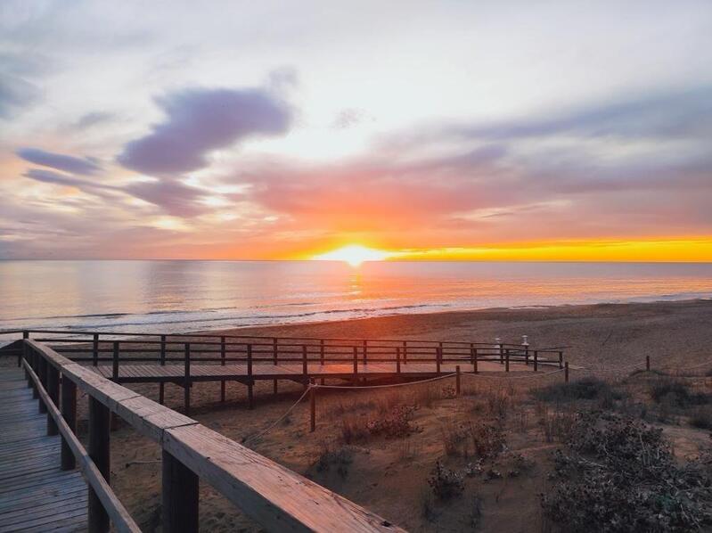 Leilighet til salgs i Torrevieja, Alicante