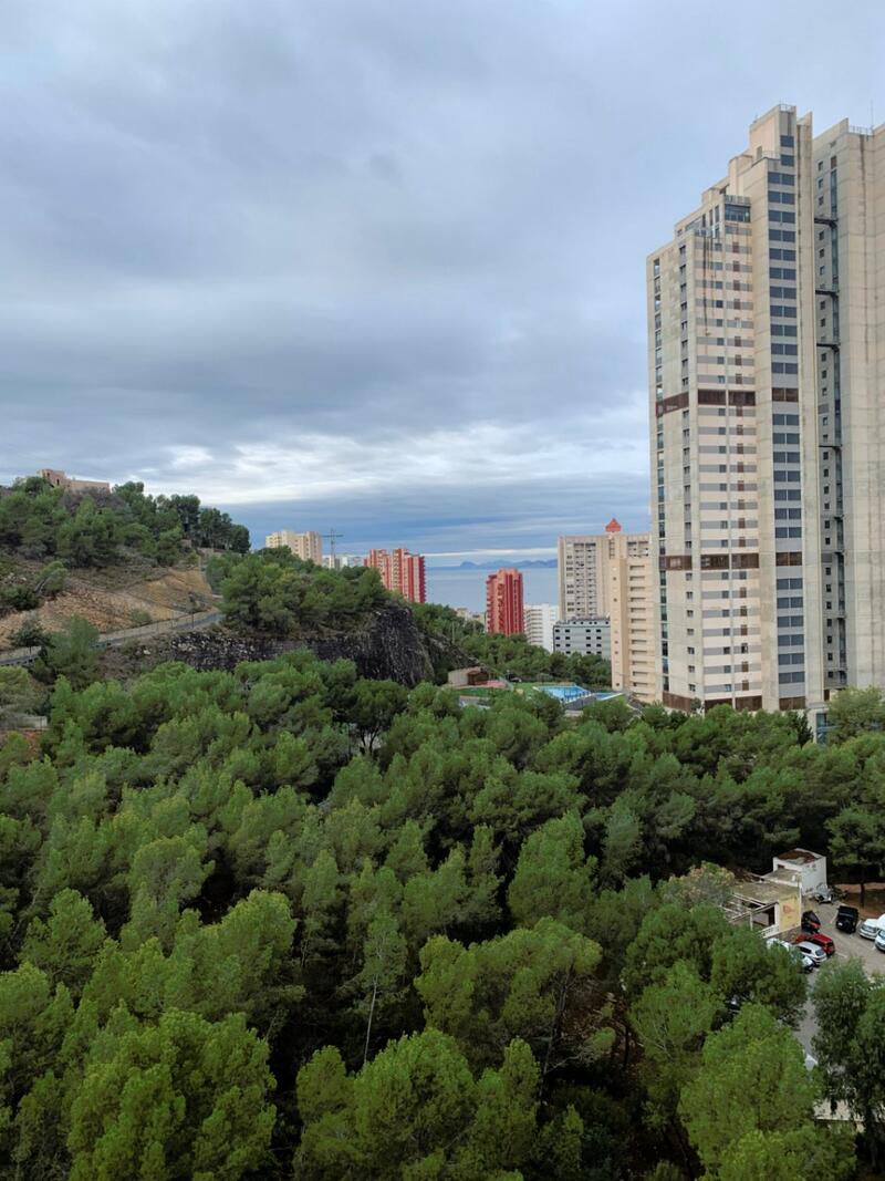 квартира продается в Benidorm, Alicante