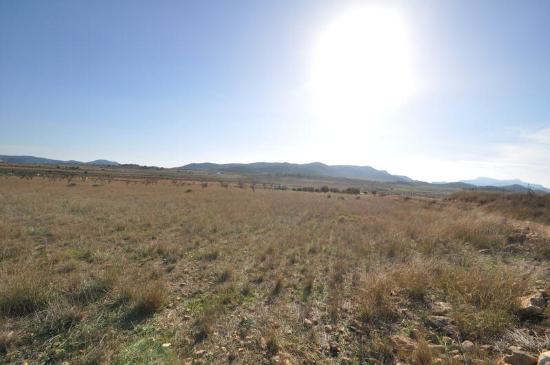 земля продается в Cañada del Trigo, Alicante