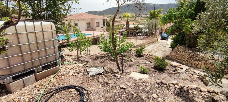 4 chambre Auberge à vendre