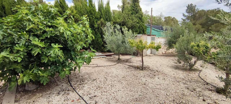 4 chambre Auberge à vendre