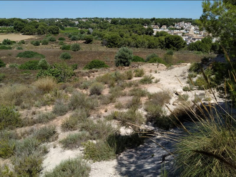 Land for sale in Pinar de Campoverde, Alicante