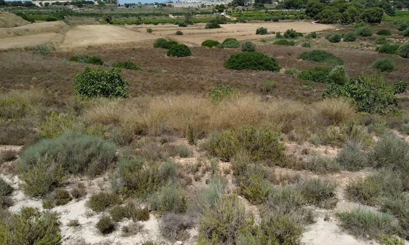 Land for sale