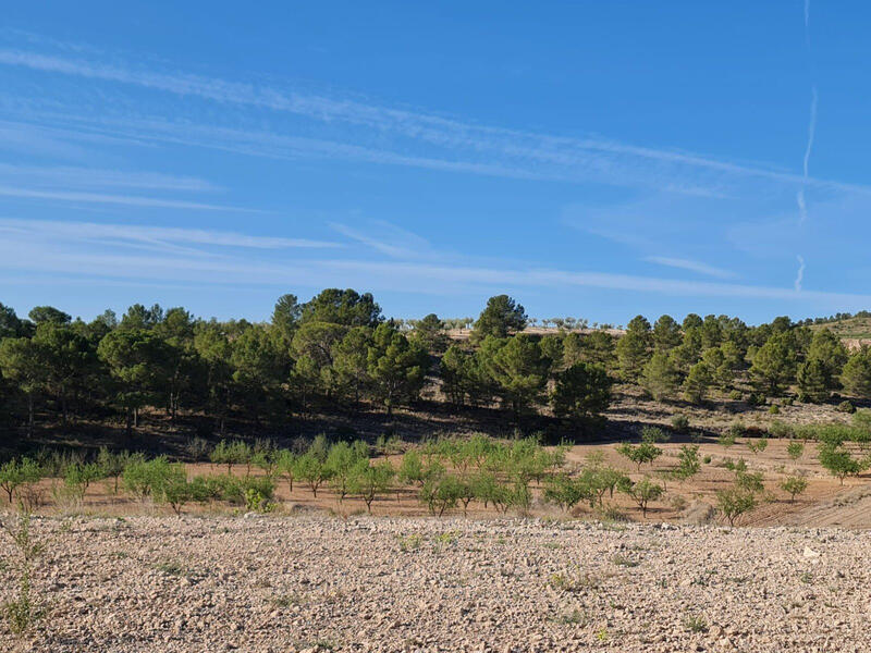 Terrain à vendre