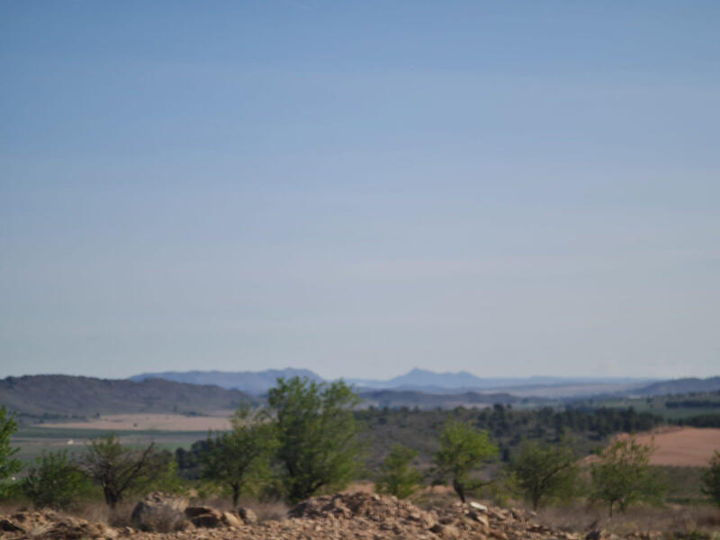 Terrain à vendre
