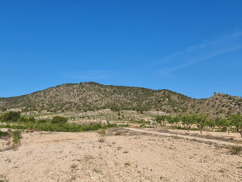 Terrain à vendre