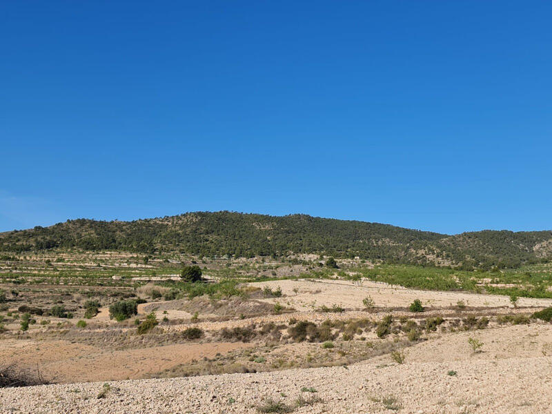 Terrain à vendre