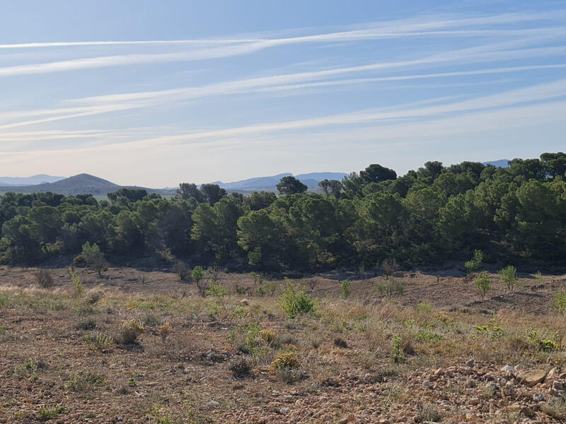 Terrain à vendre