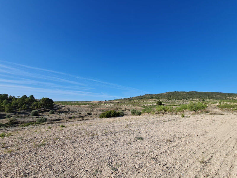 Terrenos en venta