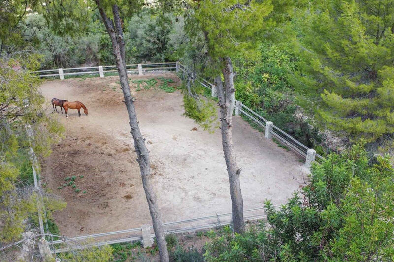 4 slaapkamer Ander Te koop