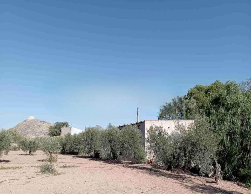 3 chambre Villa à vendre