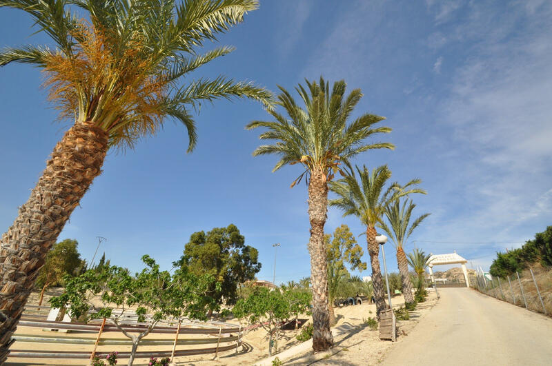 Autre à vendre dans Abanilla, Murcia