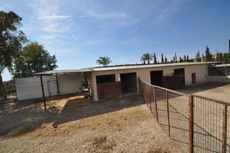 Autre à vendre