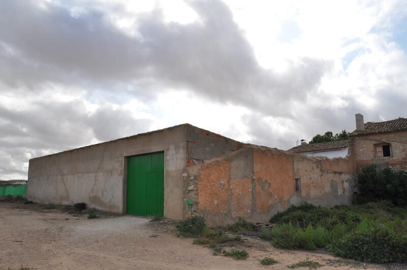 Terrenos en venta