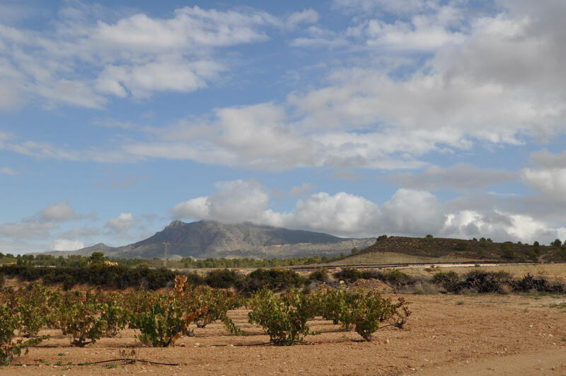 Terrenos en venta