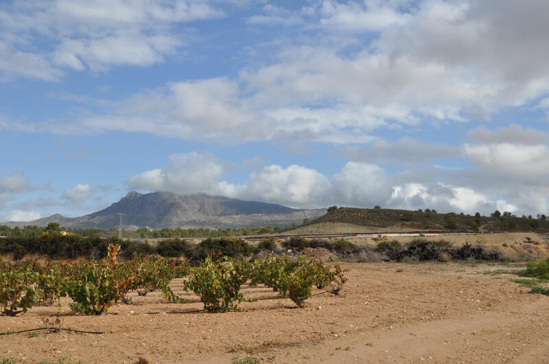 Terrenos en venta