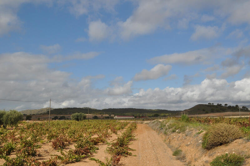 Terrenos en venta