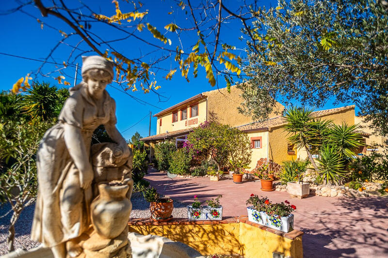 Autre à vendre