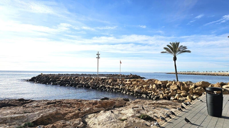 Appartement à vendre dans Torrevieja, Alicante