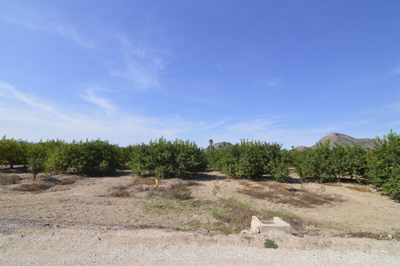 Terrenos en venta