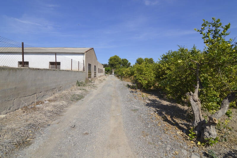 Terrenos en venta