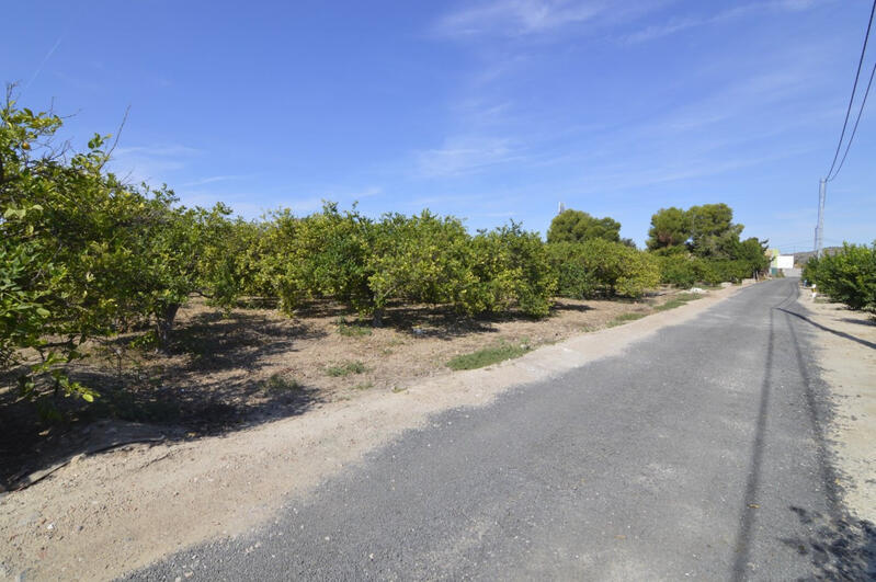 Terrenos en venta