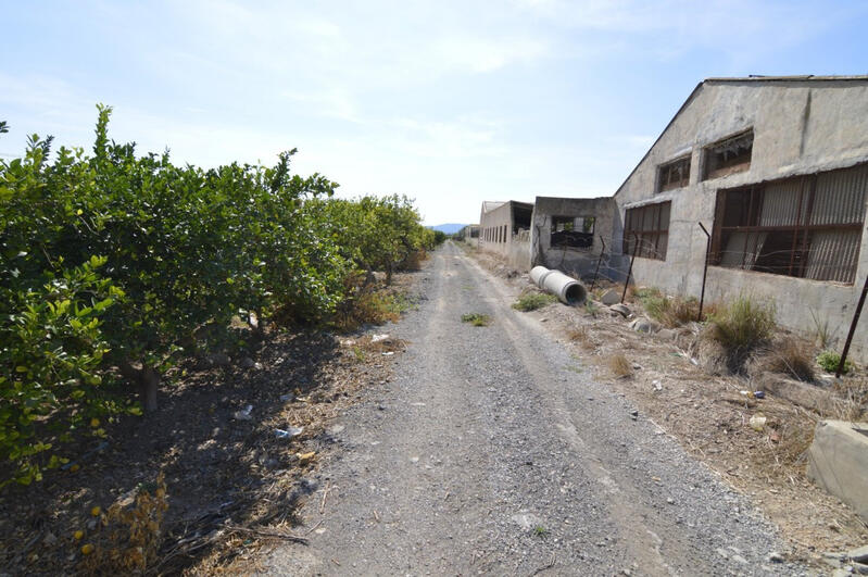 Terrenos en venta