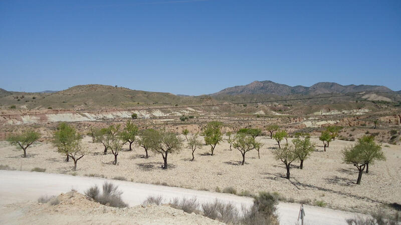 Land Te koop in Abanilla, Murcia