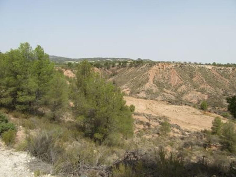 Terrain à vendre