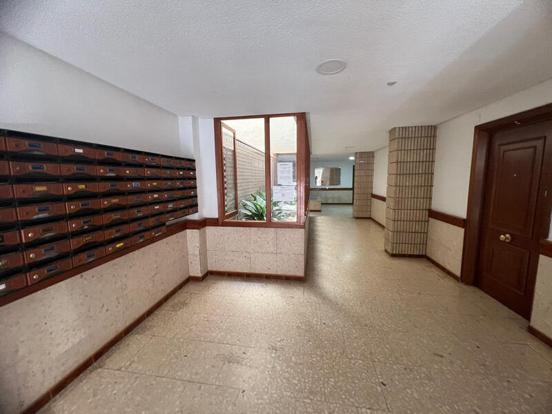 3 chambre Appartement à vendre