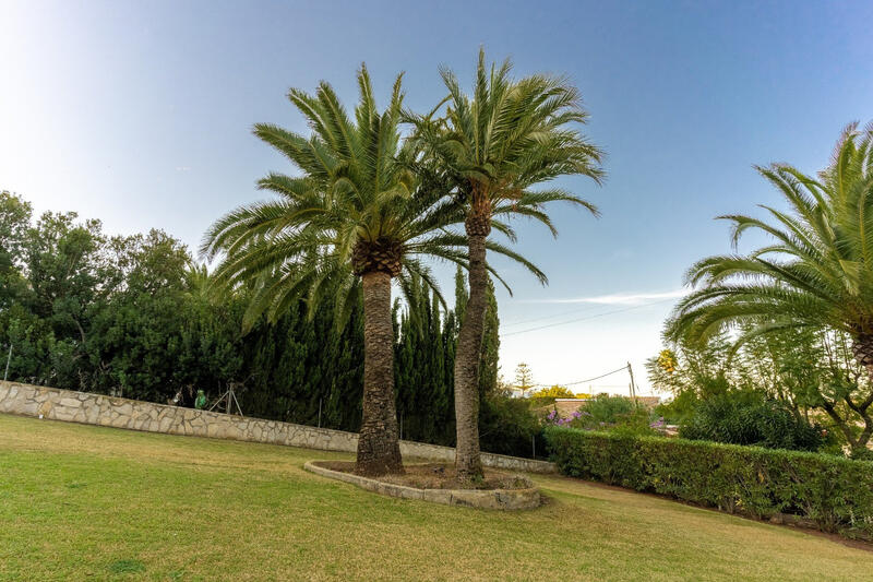 3 Cuarto Villa en venta
