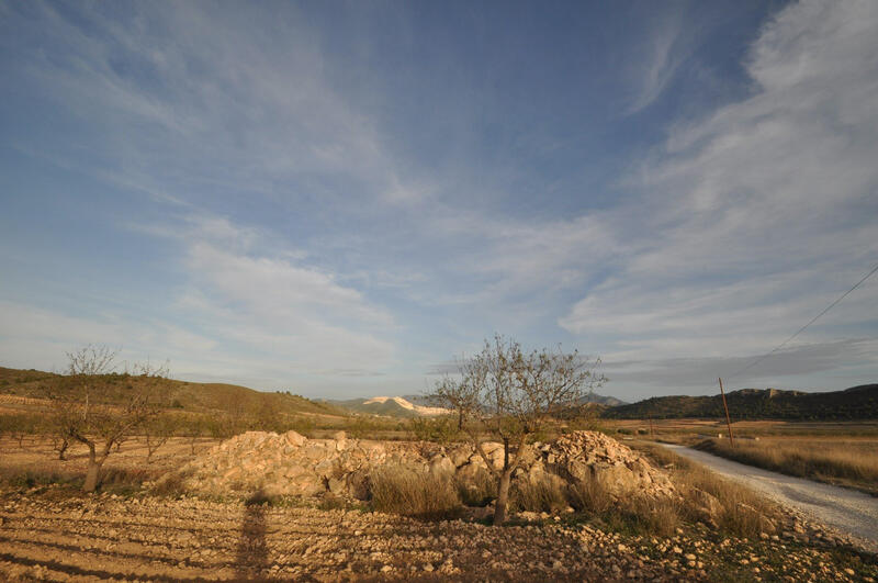 Land for sale