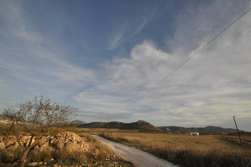 Land for sale