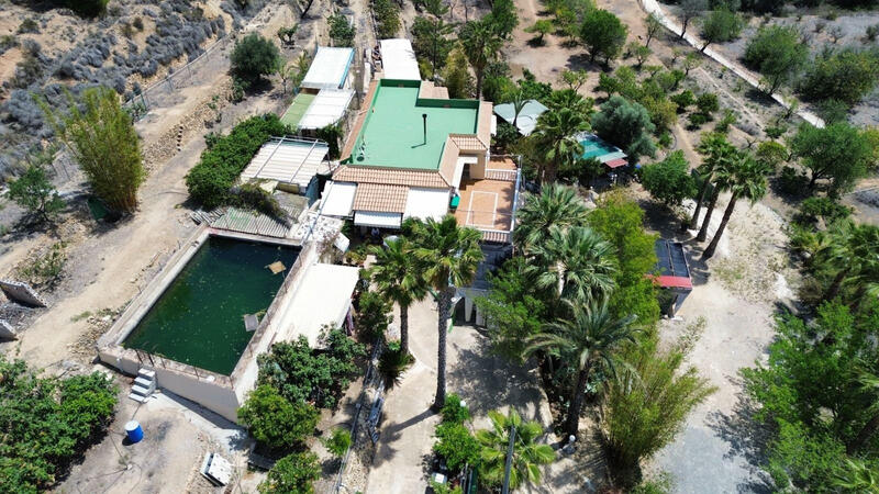 5 chambre Villa à vendre