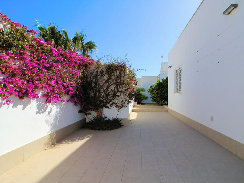 3 Cuarto Villa en venta