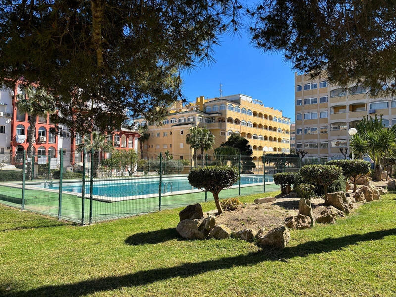 Appartement zu verkaufen in Torrevieja, Alicante