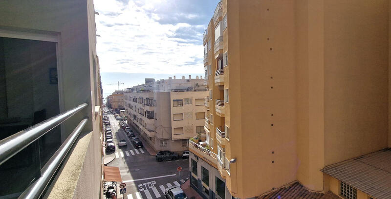 1 chambre Appartement à louer à long terme