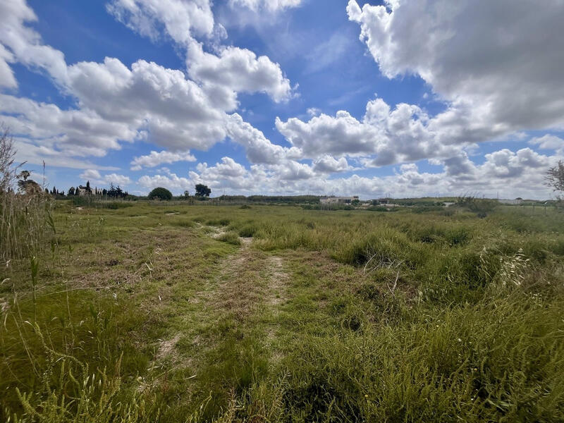 Land for sale