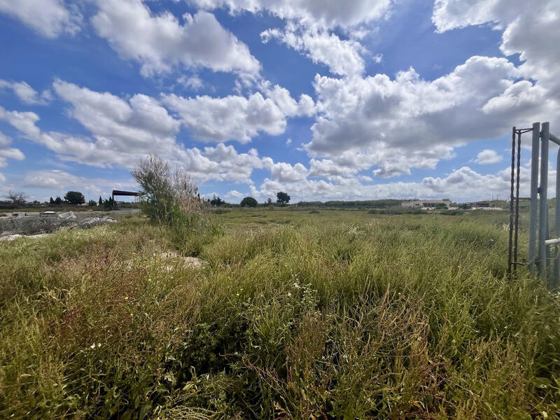 Land for sale