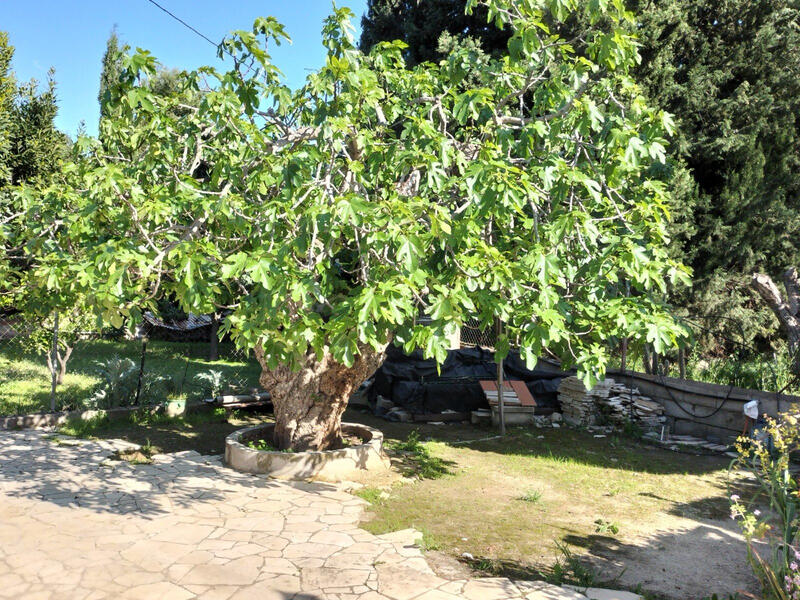 3 Schlafzimmer Villa zu verkaufen
