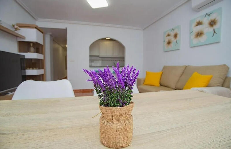 2 slaapkamer Appartement voor lange termijn huur