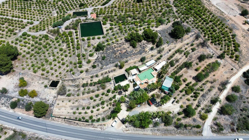 6 Cuarto Casa de Campo en venta
