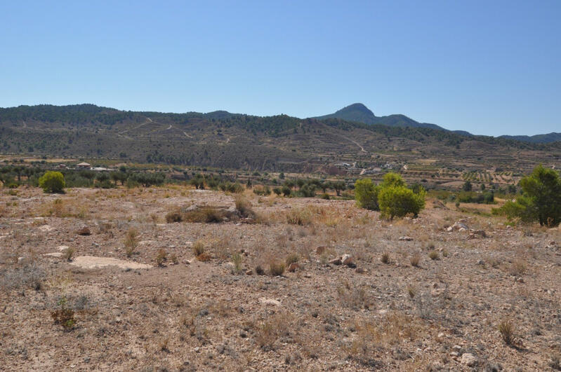 Land for sale