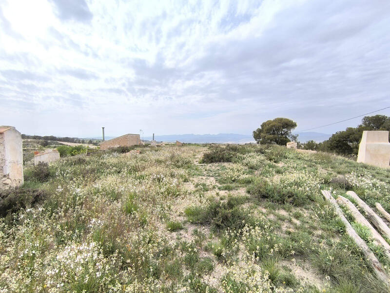 7 Cuarto Casa de Campo en venta