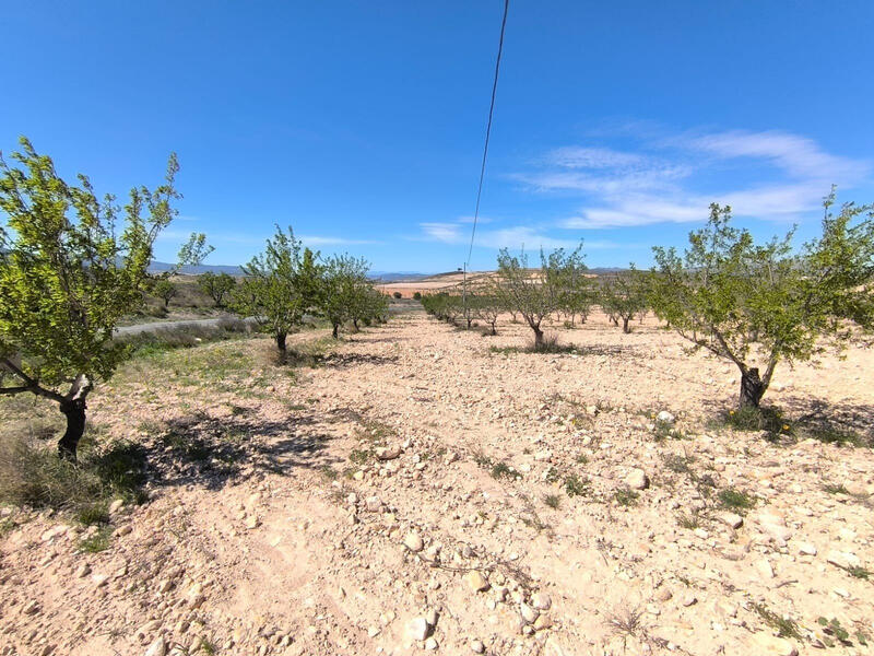 Land Te koop in Torrevieja, Alicante