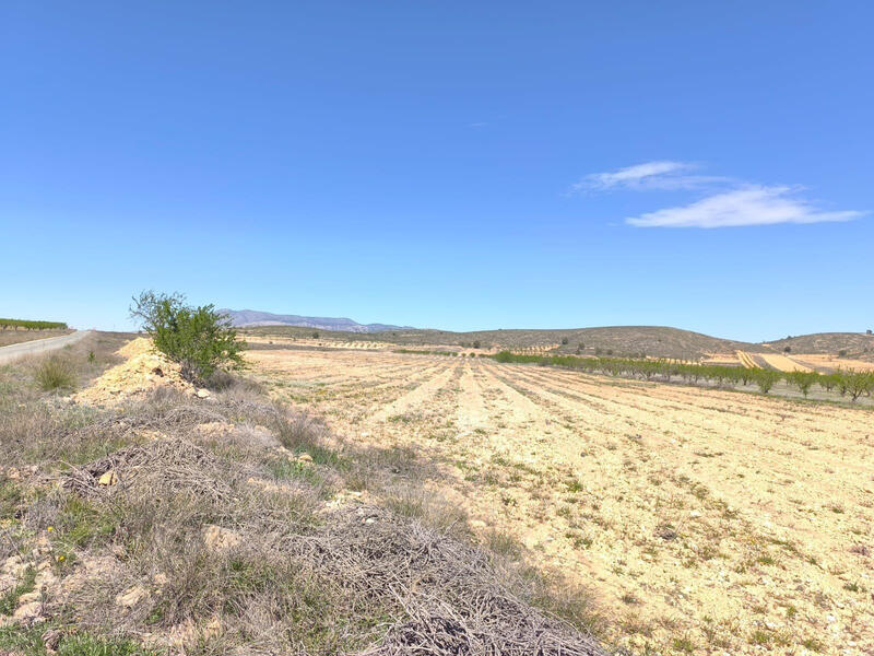 Land til salgs i Abanilla, Murcia